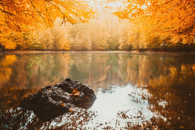 Scenic view of lake by trees during autumn