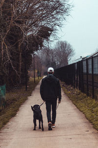 Rear view of man with dog walking on footpath