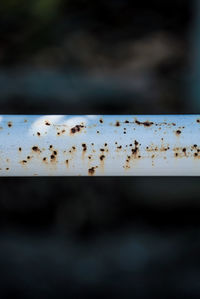 Close-up of coffee cup against sky