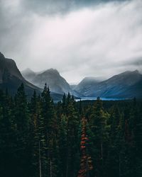 Scenic view of forest and mountains against cloudy sky