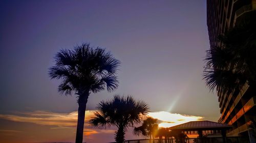 Low angle view of silhouette palm trees against sky at night