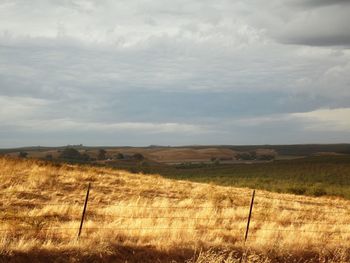 Scenic view of field against sky