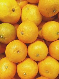 Full frame shot of oranges in market