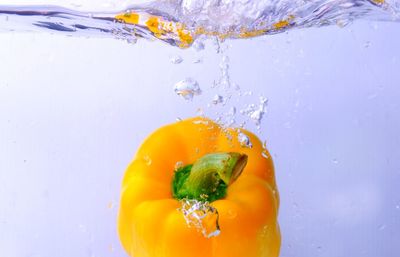 High angle view of yellow bell peppers in water