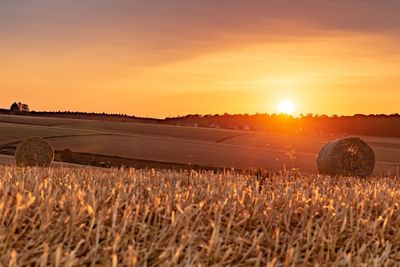 Scenic view of field against sky during sunset