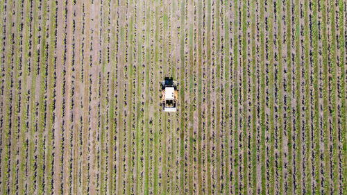 Aerial view of agricultural machinery working on farm