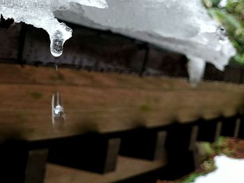 Close-up of frozen water