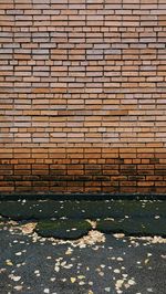 Sunlight falling on brick wall