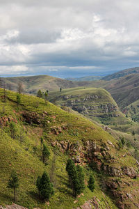 Scenic view of landscape against sky