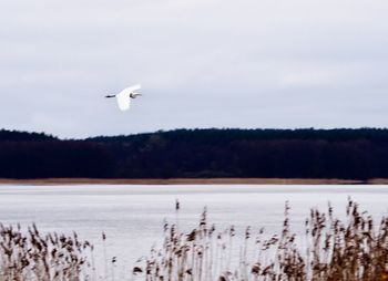 Scenic view of lake against sky during winter