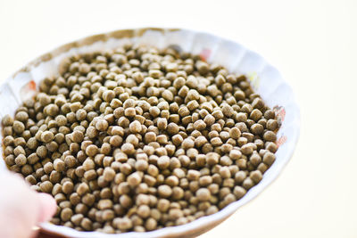 Close-up of pasta over white background