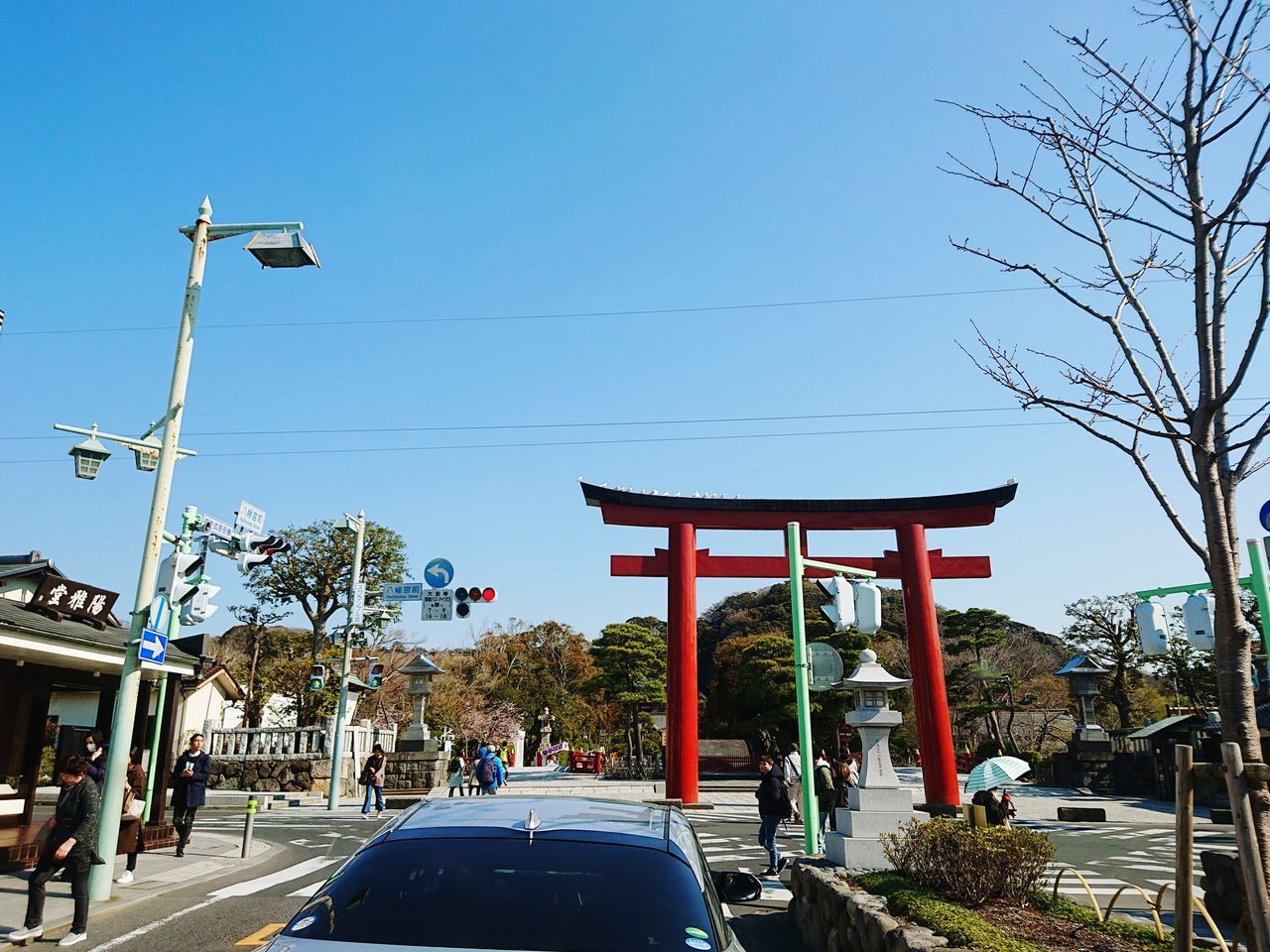 STREET AMIDST TREES AGAINST SKY