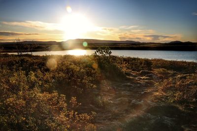 Scenic view of lake against sky during sunset