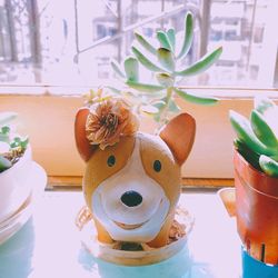 Close-up of potted plant on table