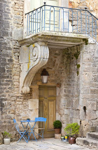 Potted plant on stone wall of building