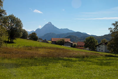 Scenic view of field by houses against sky