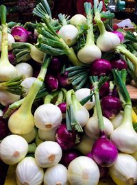 Close-up of scallions for sale at market stall