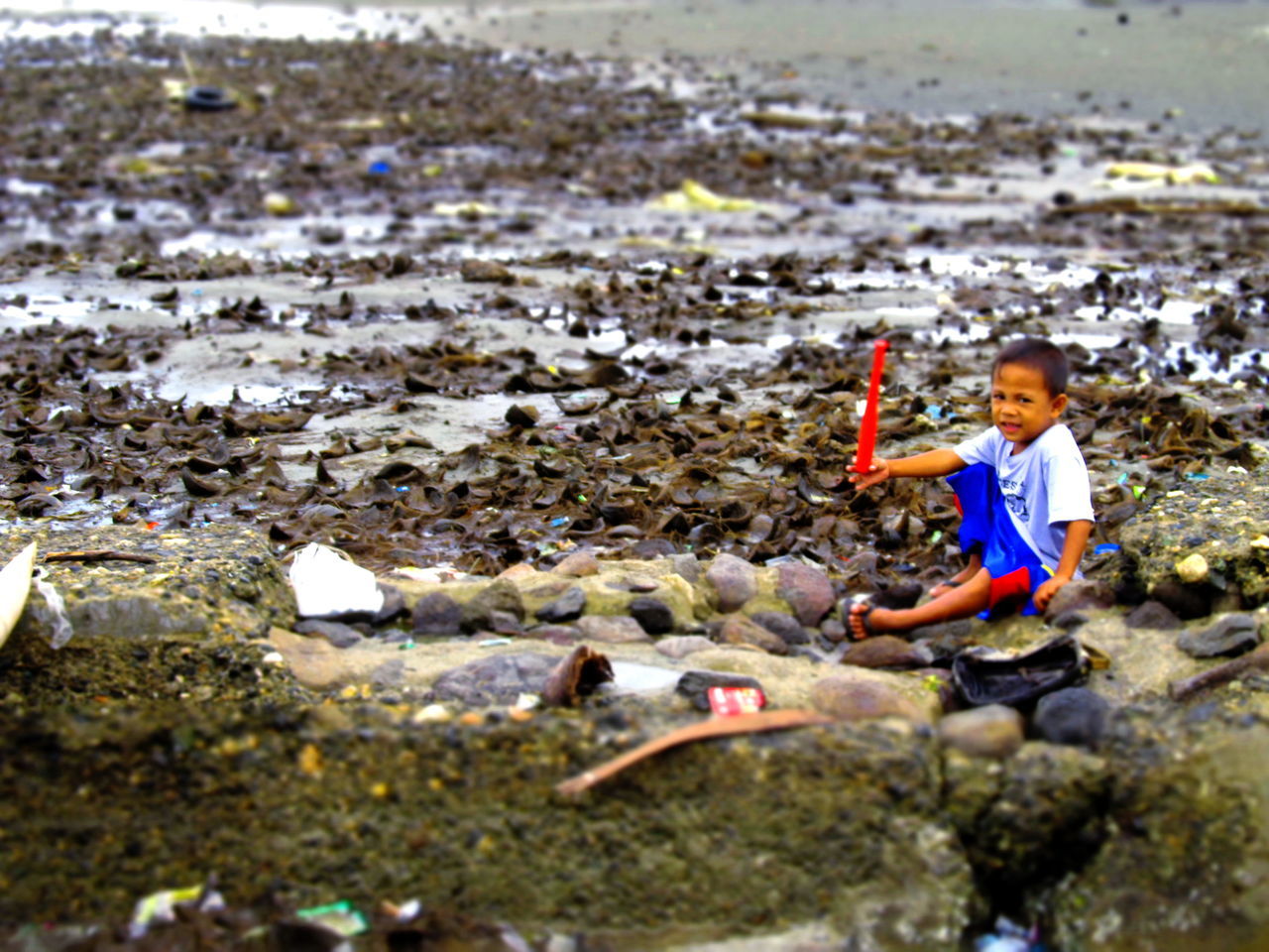 one person, childhood, water, rock - object, casual clothing, beach, boys, real people, day, outdoors, one boy only, sitting, sea, people, males, full length, nature, children only, adult