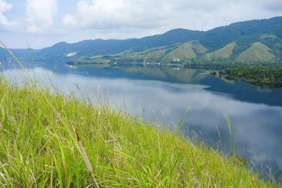 Grassland and lake