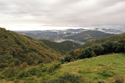 Between mountains on a cloudy day, with fog between the pines.