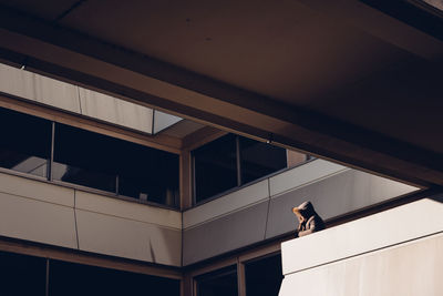 Low angle view of woman standing in balcony