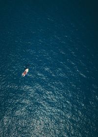 Aerial view of boat in sea