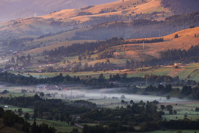 High angle view of trees on landscape 