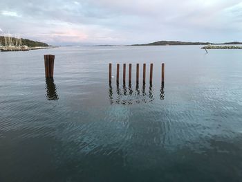 Wooden posts in sea against sky