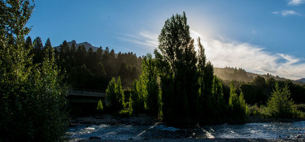 Scenic view of waterfall in forest against sky