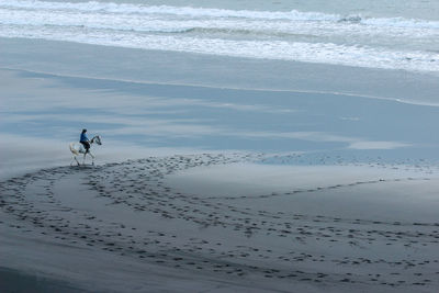 Scenic view of beach