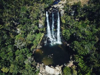 Scenic view of waterfall in forest