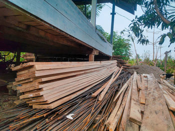 Stack of wooden logs in forest