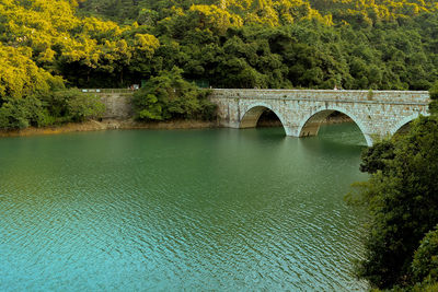 Arch bridge over river against trees