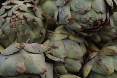 Close-up of artichokes in market