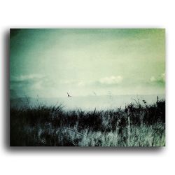 Scenic view of field against cloudy sky