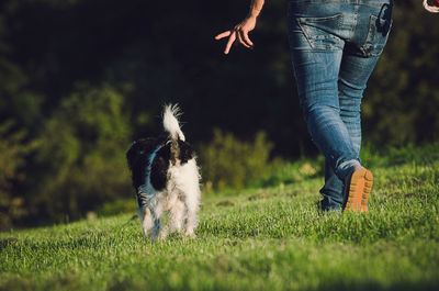 Low section of woman standing on grassy field