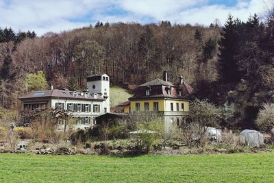 Houses in forest