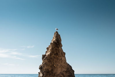Bird on rock formation against clear sky