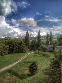 Scenic view of field against sky