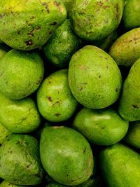 Avocado in supermarket