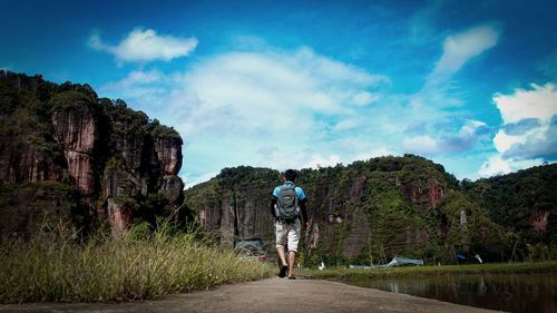 Rear view of man walking amidst plants against sky