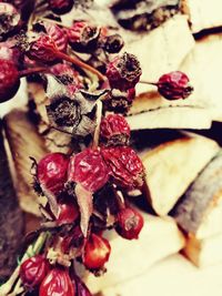 High angle view of dried fruits