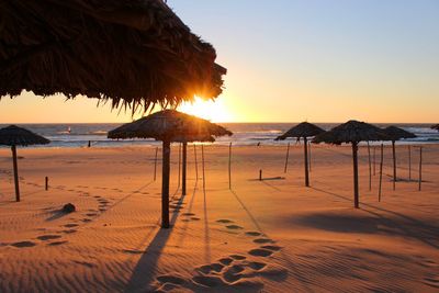 Parasols at sandy beach against clear sky during sunset