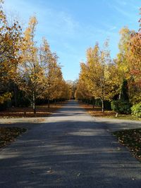 Road amidst trees against sky during autumn