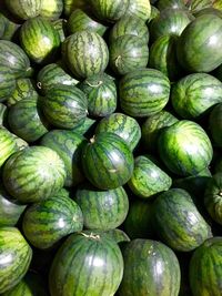 Full frame shot of watermelons