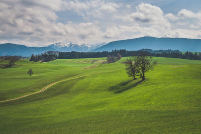 Scenic view of grassy field against cloudy sky