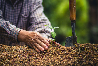 Midsection of man planting sapling in farm