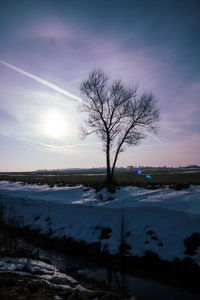 Bare tree on snowcapped landscape against sky during sunset