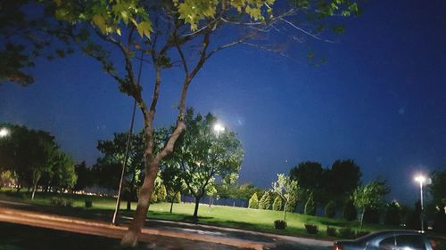 Road by trees against sky at night