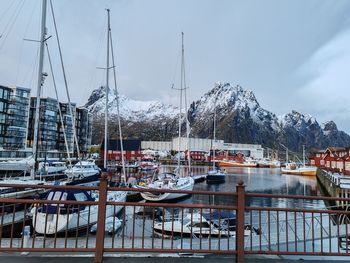 Boats moored at harbor